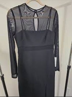 Adrianna Papell Crepe Mesh Illusion Column Dress. NWT. Size: 12. Asking: $169